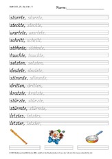 DSS_2S_Bu_t_Nr_11.pdf